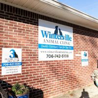 Winterville Animal Clinic ico