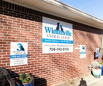 Winterville Animal Clinic