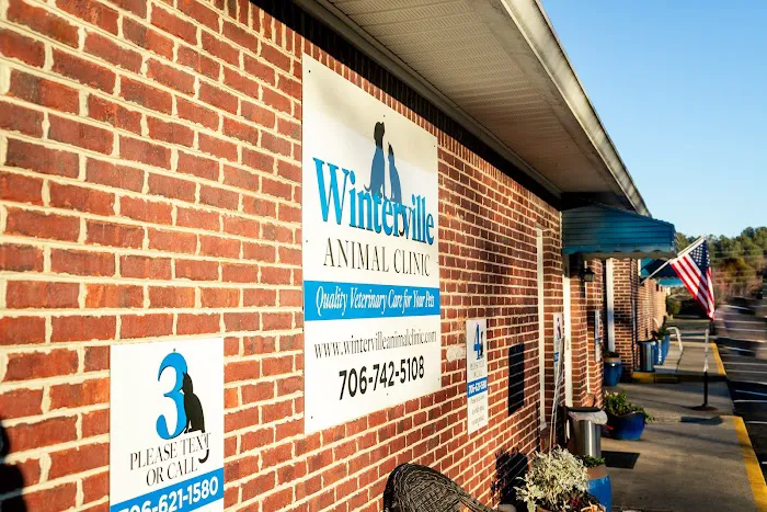 Winterville Animal Clinic 2
