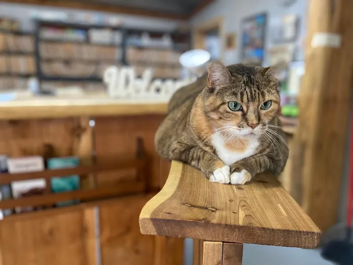 Shannon Veterinary Services 1