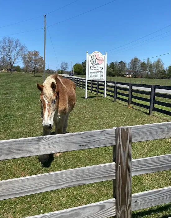Shannon Veterinary Services 7