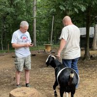 Athens Regional Veterinary Services ico
