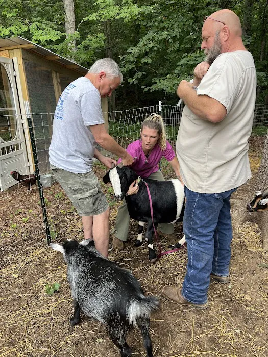 Athens Regional Veterinary Services 9
