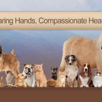 Town & Country Animal Hospital ico