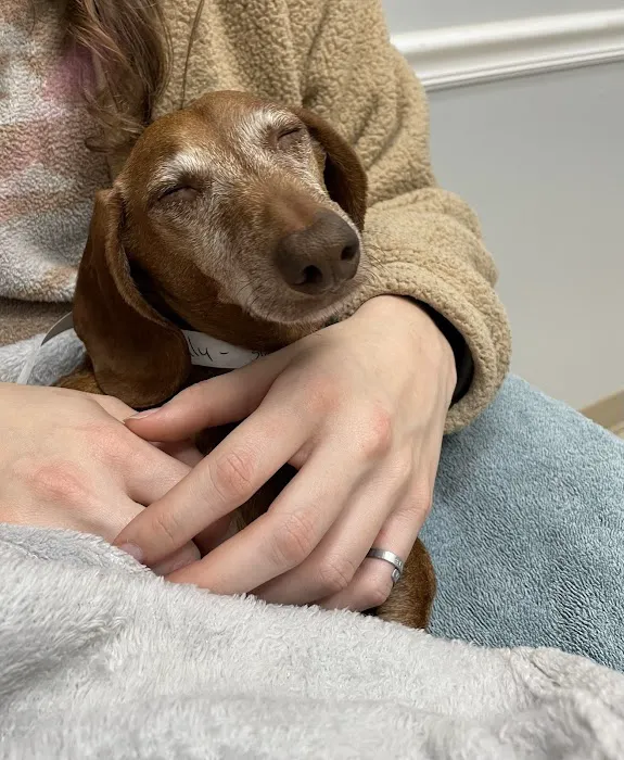 Mountain Emergency Animal Center 4