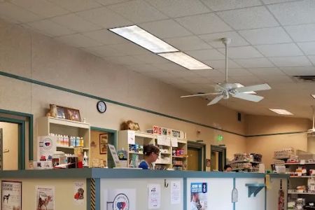 Ocoee Animal Hospital