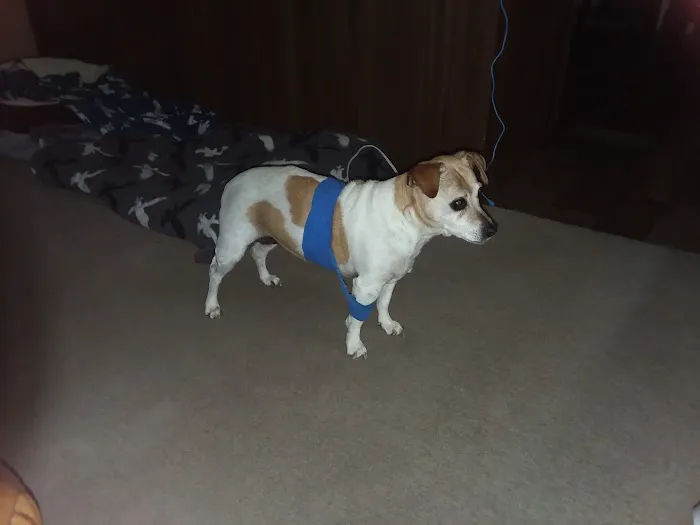 Kirk Veterinary Clinic 1