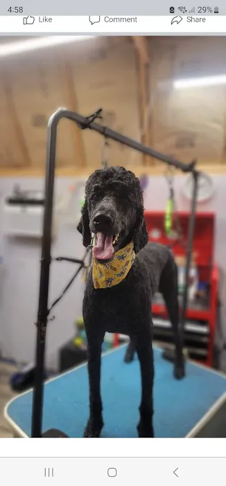 Kirk Veterinary Clinic 7
