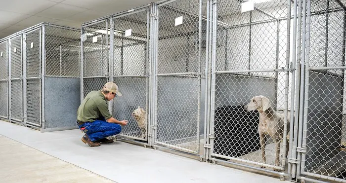 North Jackson Animal Clinic 12