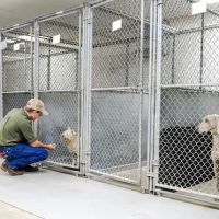 North Jackson Animal Clinic ico