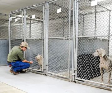 North Jackson Animal Clinic