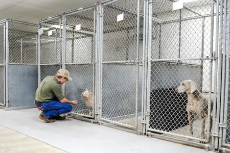 North Jackson Animal Clinic