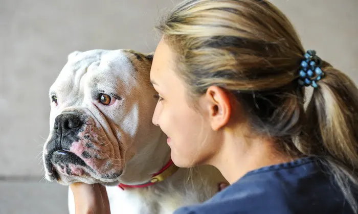 North Jackson Animal Clinic 12