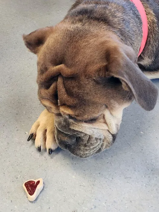 North Jackson Animal Clinic 12
