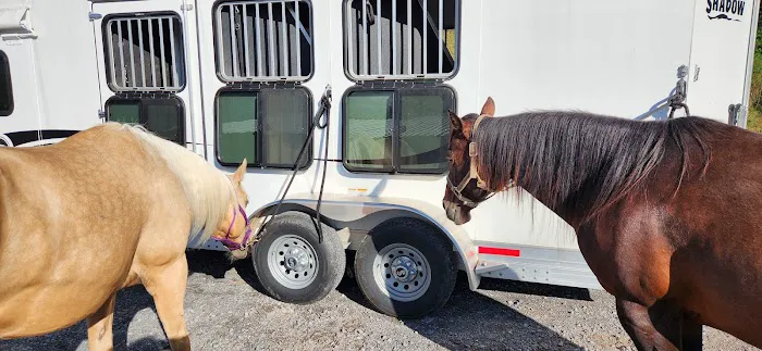 Equine Medical Center-Cleveland 4