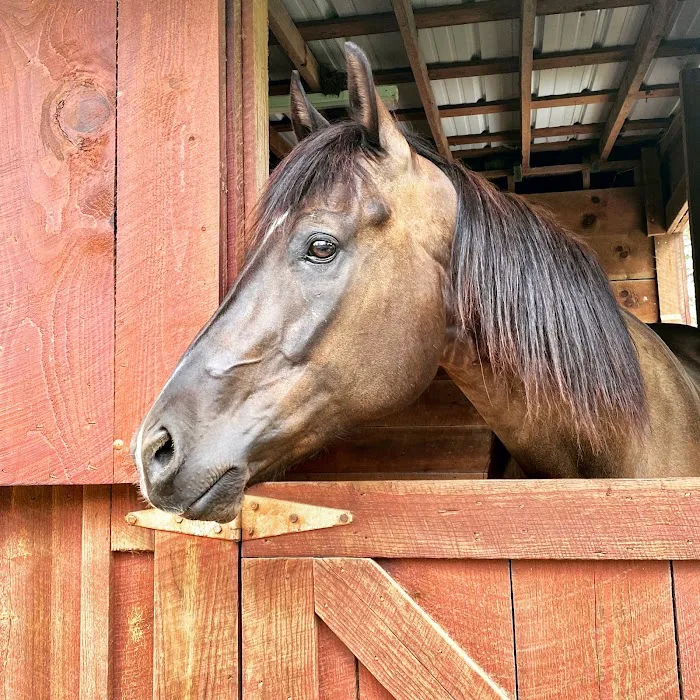 Equine Medical Center-Cleveland 5