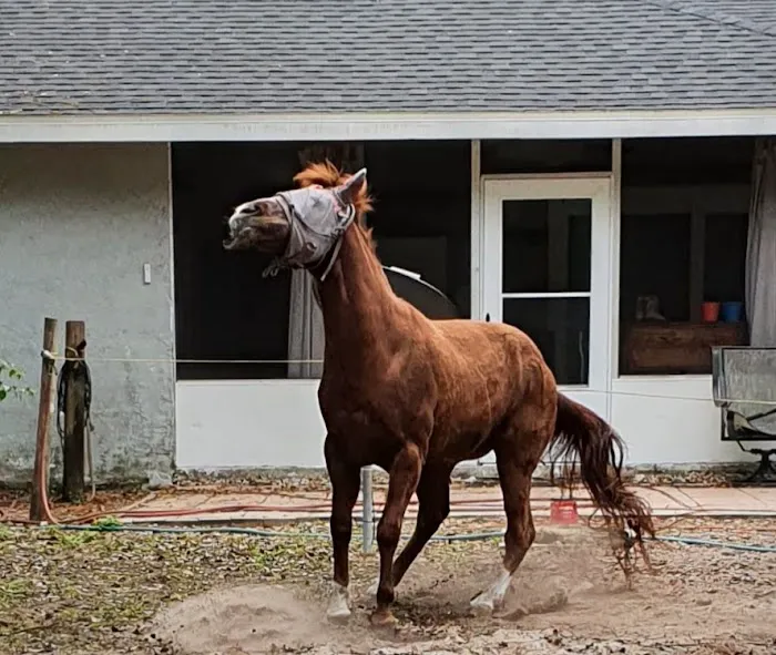 Equine Medical Center-Cleveland 3