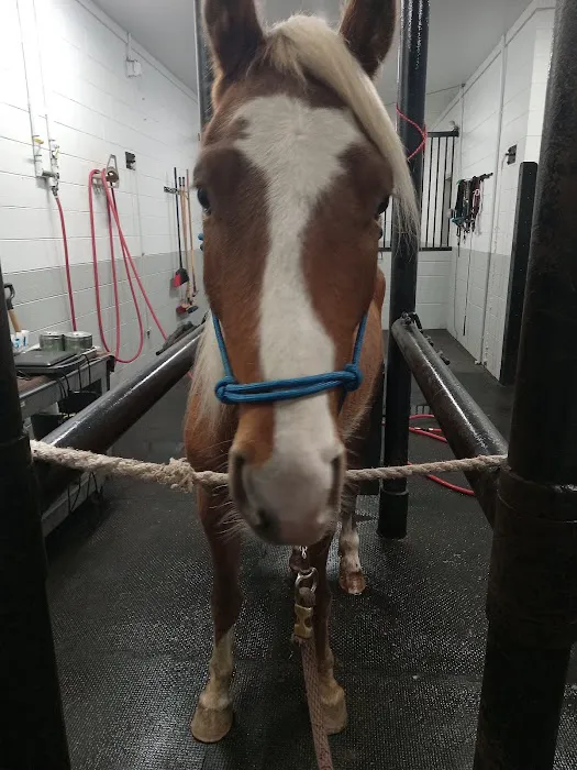 Equine Medical Center-Cleveland 1