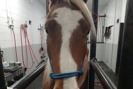 Equine Medical Center-Cleveland