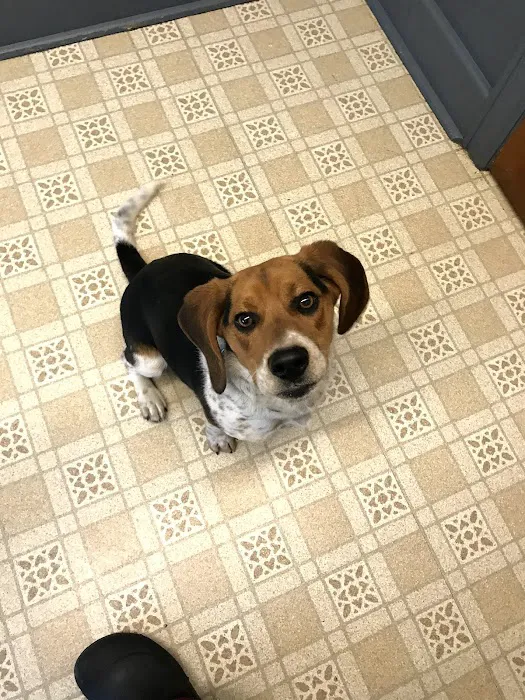 Bradley Veterinary Hospital 9