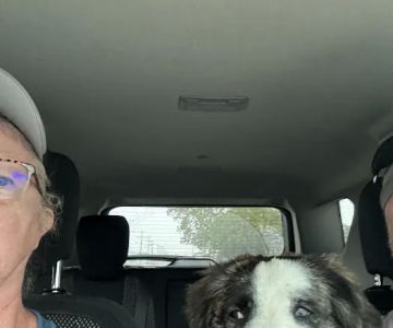 DeKalb Animal Hospital