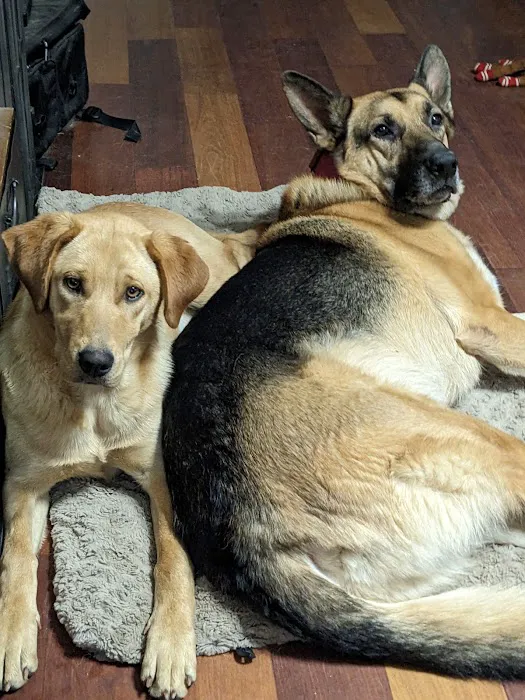 DeKalb Animal Hospital 12