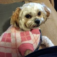 Fort Payne Veterinary Center ico