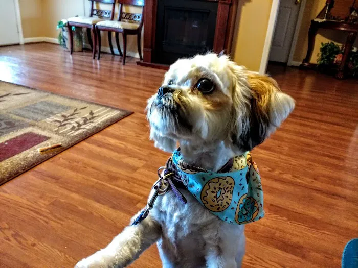 Fort Payne Veterinary Center 9