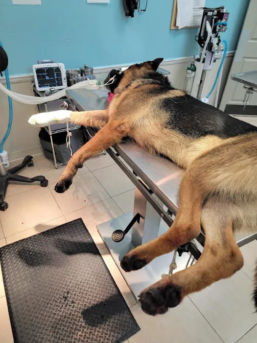 Fort Payne Veterinary Center 4