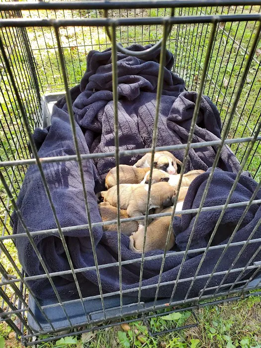 Mountain Top Animal Clinic 12