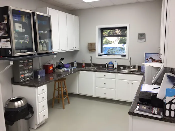 Rainsville Animal Clinic 12