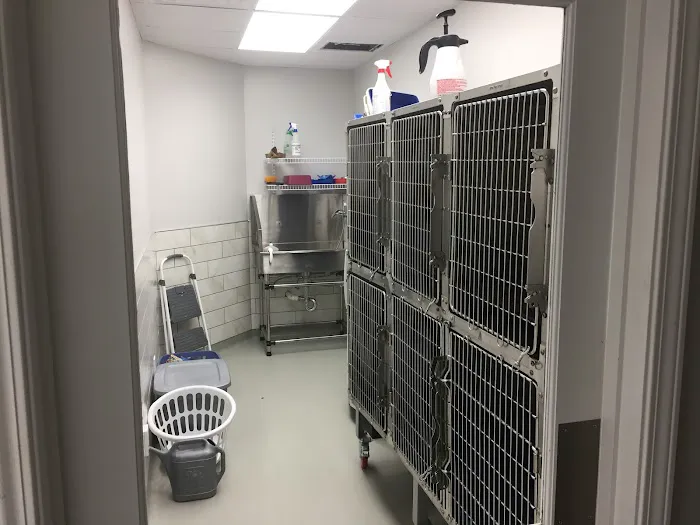 Rainsville Animal Clinic 12