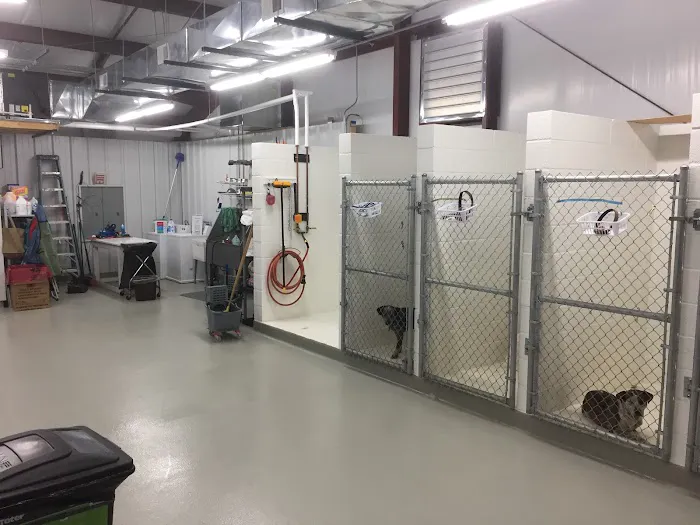 Rainsville Animal Clinic 12