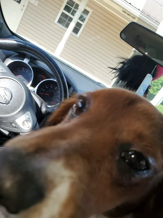 Fyffe Animal Hospital 1