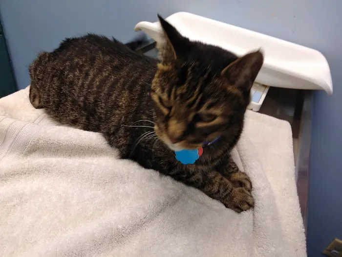 VCA Animal Care Center 1