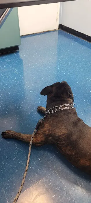 VCA Animal Care Center 7