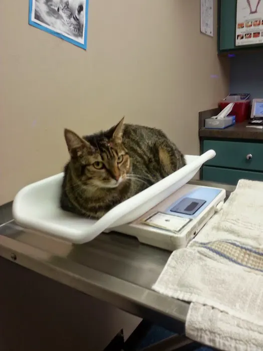 VCA Animal Care Center 4