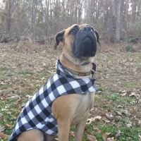 Friendship Veterinary Clinic ico