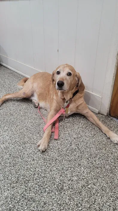 Friendship Veterinary Clinic 4