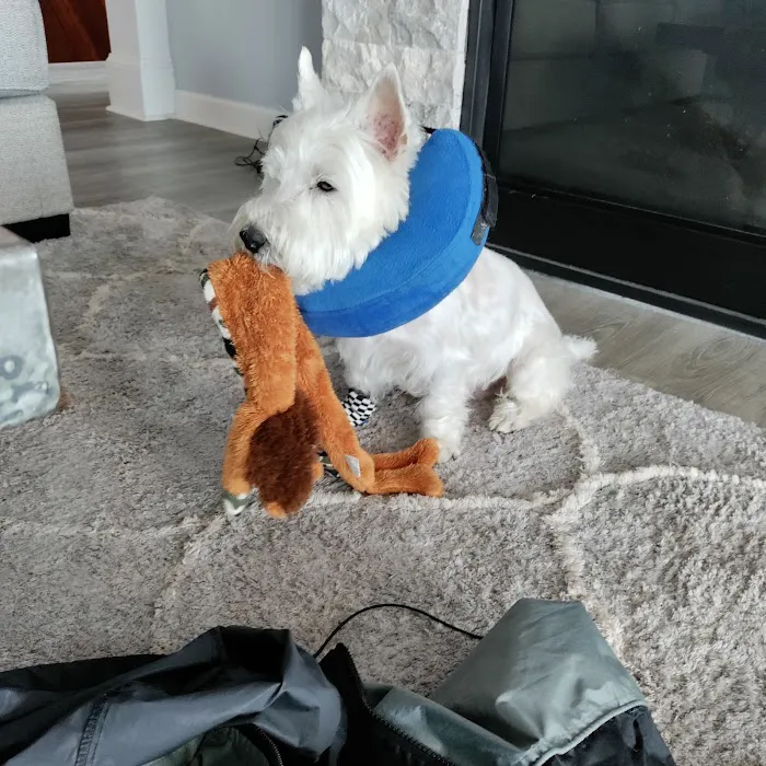 Friendship Veterinary Clinic 7