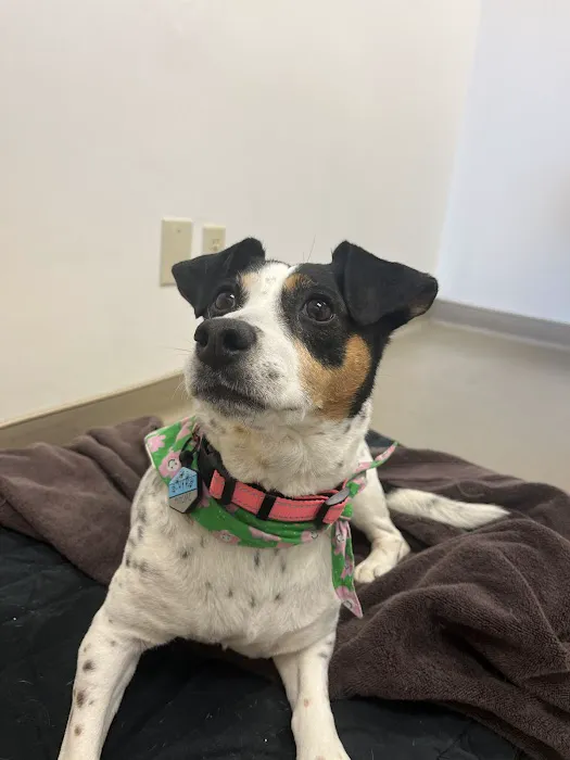 Granby Veterinary Hospital 12