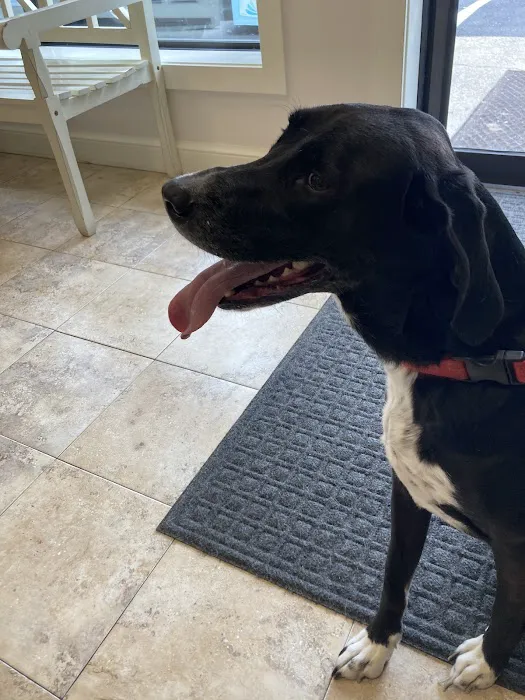Greenbrier Animal Care Center 12
