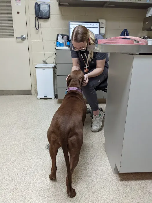 VRA FT. Liberty: Norfolk Veterinary Branch 2