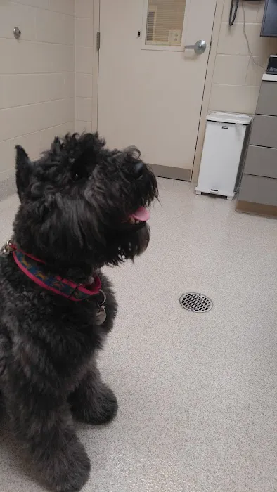 VRA FT. Liberty: Norfolk Veterinary Branch 4