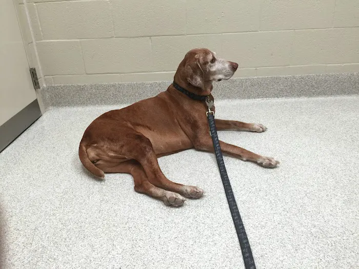 VRA FT. Liberty: Norfolk Veterinary Branch 6