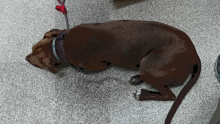 VRA FT. Liberty: Norfolk Veterinary Branch 8