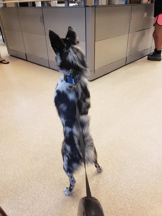 VRA FT. Liberty: Norfolk Veterinary Branch 10