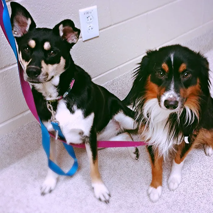 VRA FT. Liberty: Norfolk Veterinary Branch 7