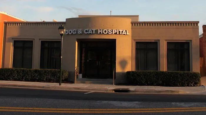 Dog & Cat Hospital 2