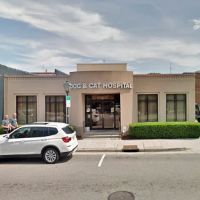 Dog & Cat Hospital ico